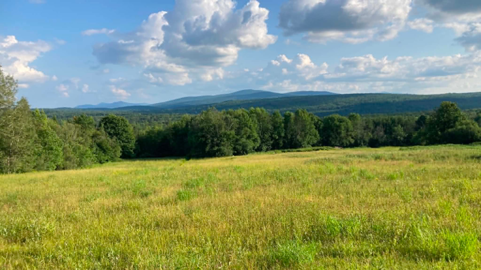 Paysage des montagnes de l'Estrie québécoise avec un champ et une forêt sous un ciel nuageux